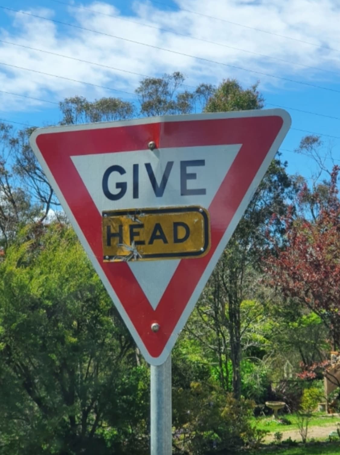 street sign - Give Head